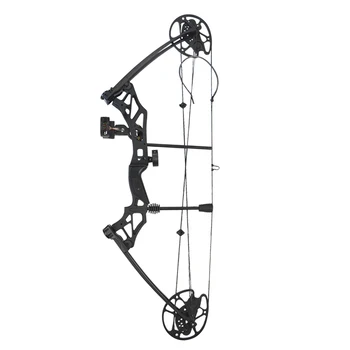 30-70 kg Compus Arc Reglabil Dreapta pentru Adulți Vânătoare Arcuri Cu 6pcs SP 500 de Carbon Săgeată de Fotografiere Arcuri de Vânătoare, de tir cu Arcul